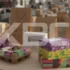 Rigid Packaging Manufacturer Turkey